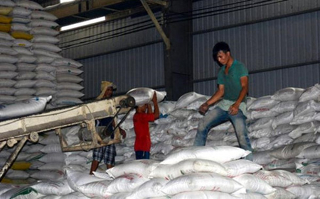 4 doanh nghiệp Việt Nam trúng thầu xuất khẩu gạo sang Philippines.
